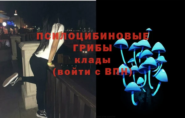 марки lsd Белокуриха