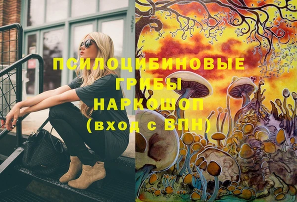 марки lsd Белокуриха
