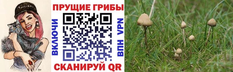 Псилоцибиновые грибы MAGIC MUSHROOMS  Нововоронеж 